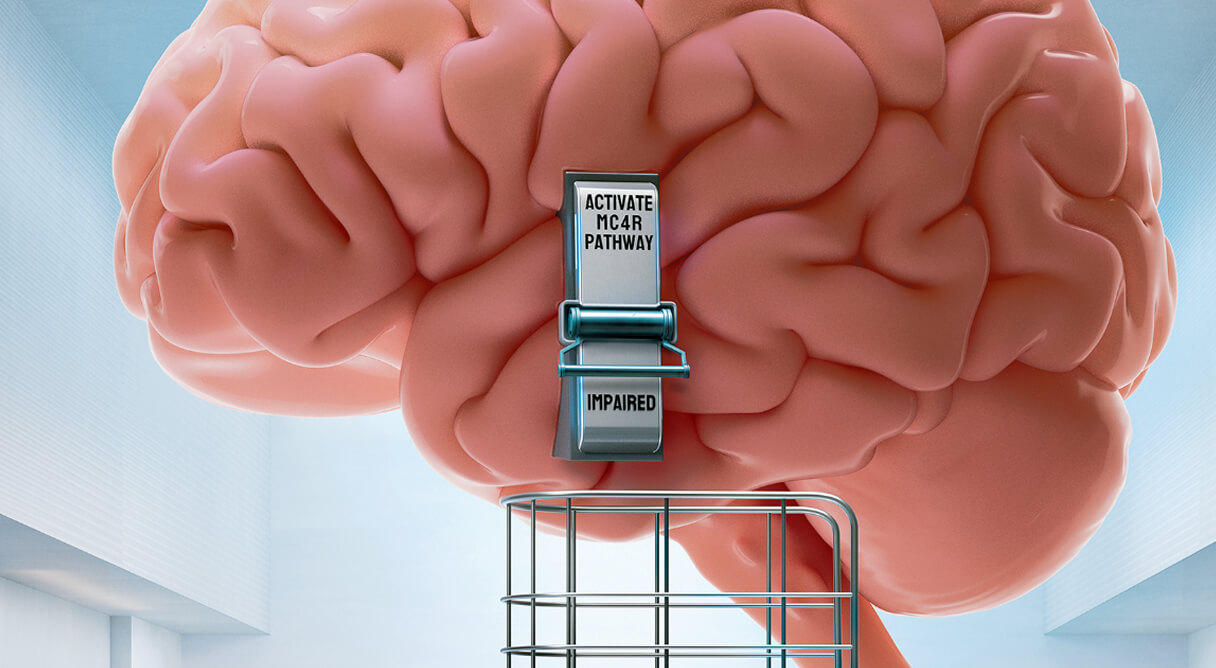 Brain